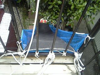 キャット・スロープ（バルコニーから見下ろす）