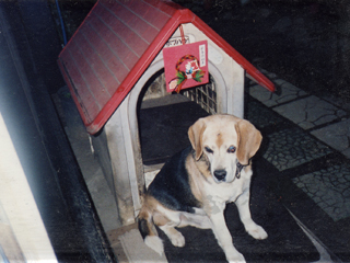生前のジョンとハウス