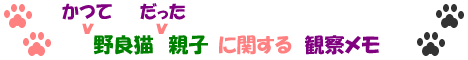 かつて 野良猫 だった 親子に関する観察メモ