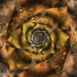 Plant in process of evolution 0 1