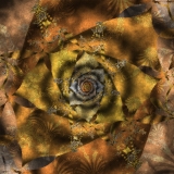 Plant in process of evolution 1 1