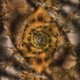 Plant in process of evolution 2 0